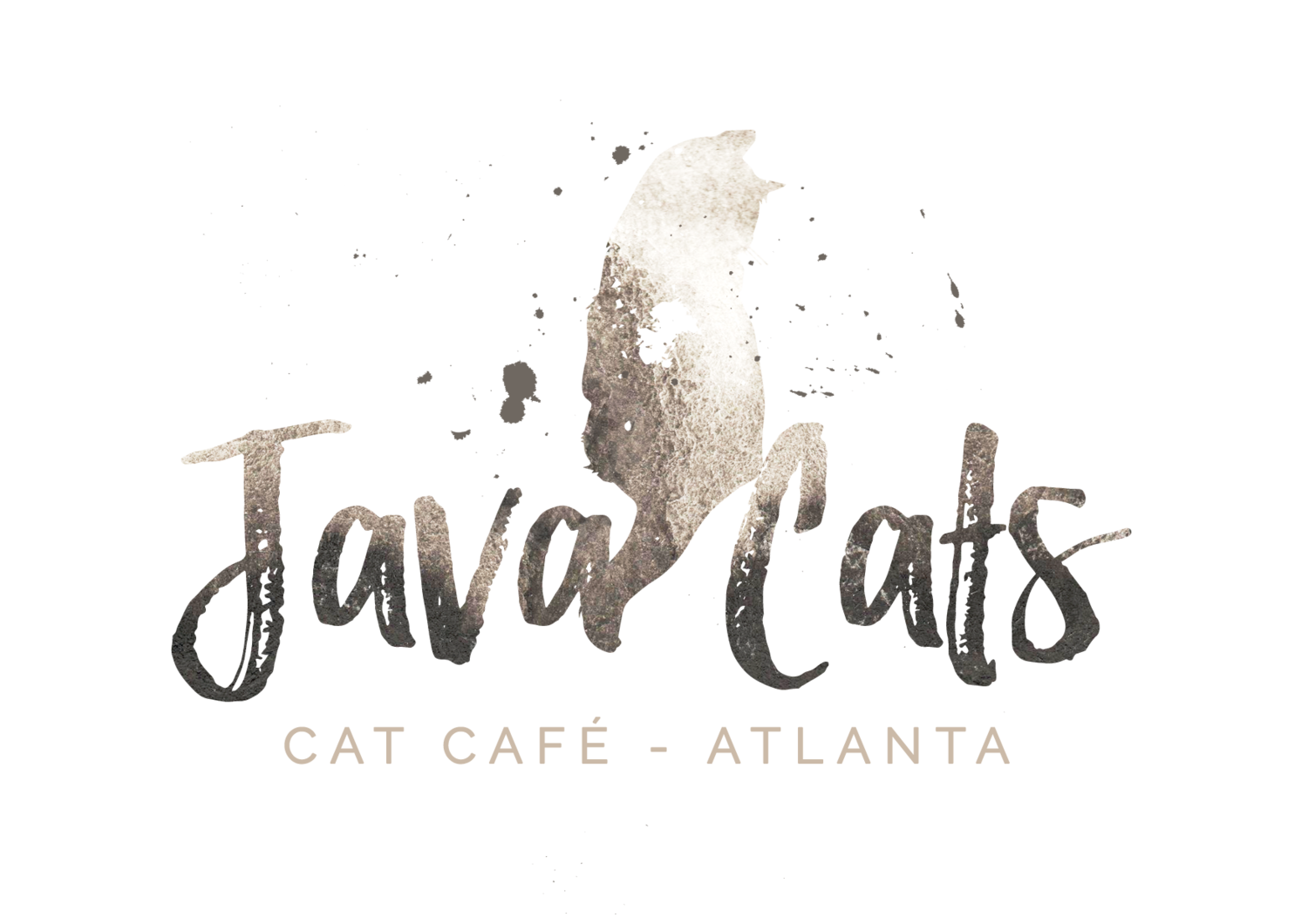 Java Cats Cafe